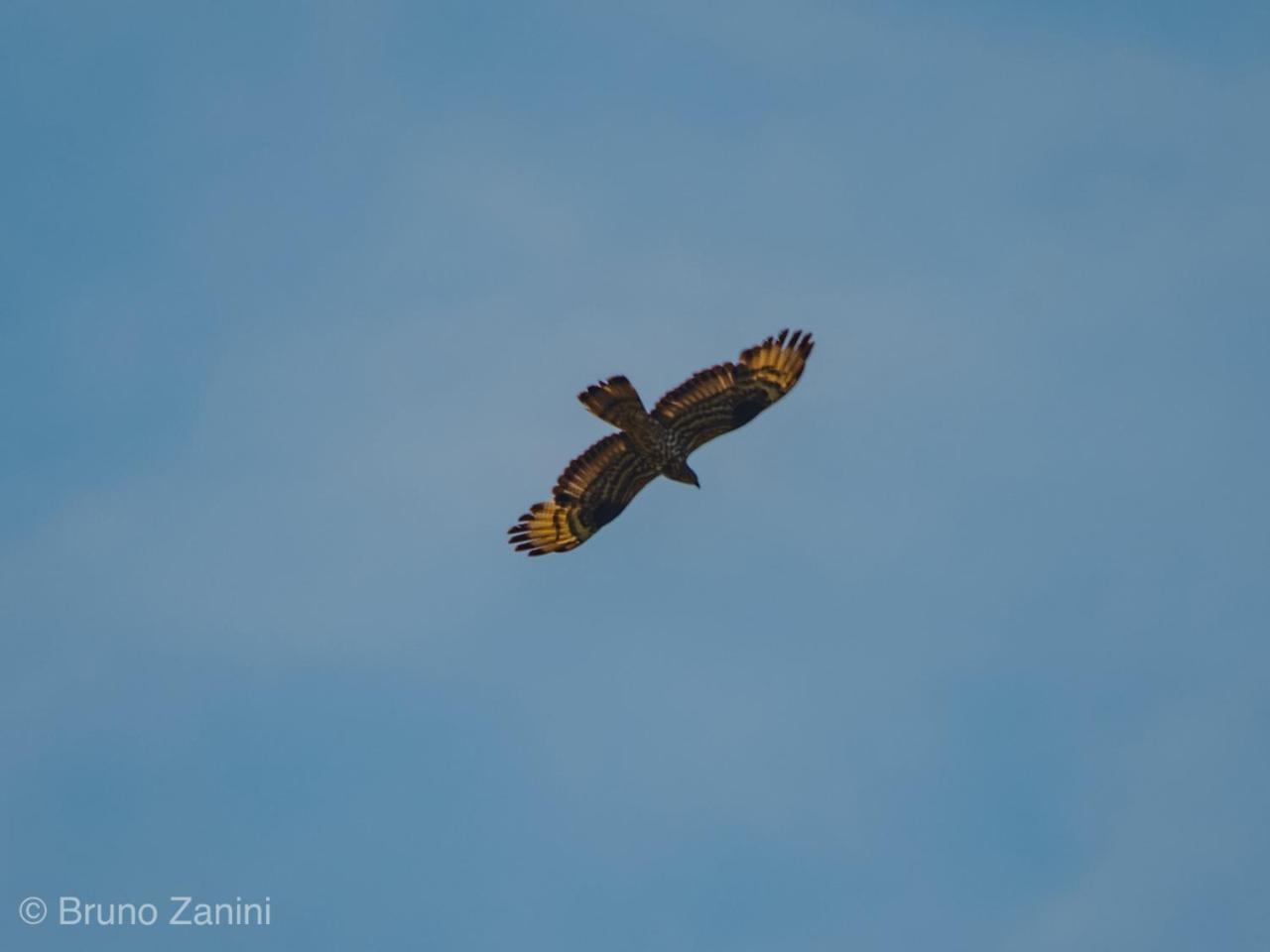 Cà Morari Argenta Exterior foto